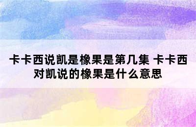 卡卡西说凯是橡果是第几集 卡卡西对凯说的橡果是什么意思